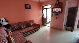 FLAT IN NARODA